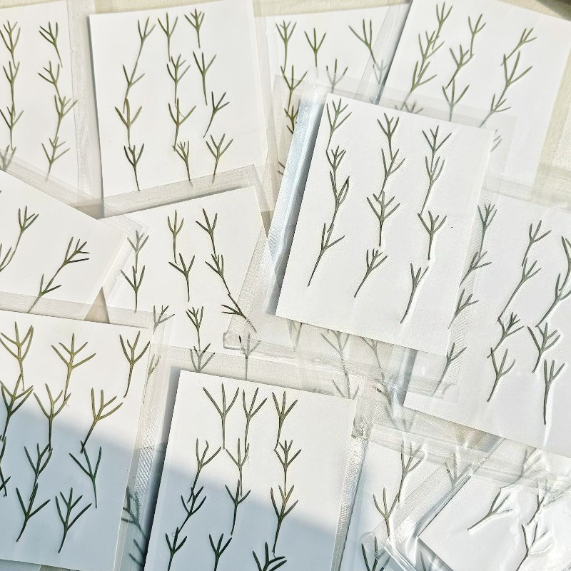 24pcs,Real Pressed Achillea Le - Resin Art Baby recension och pris