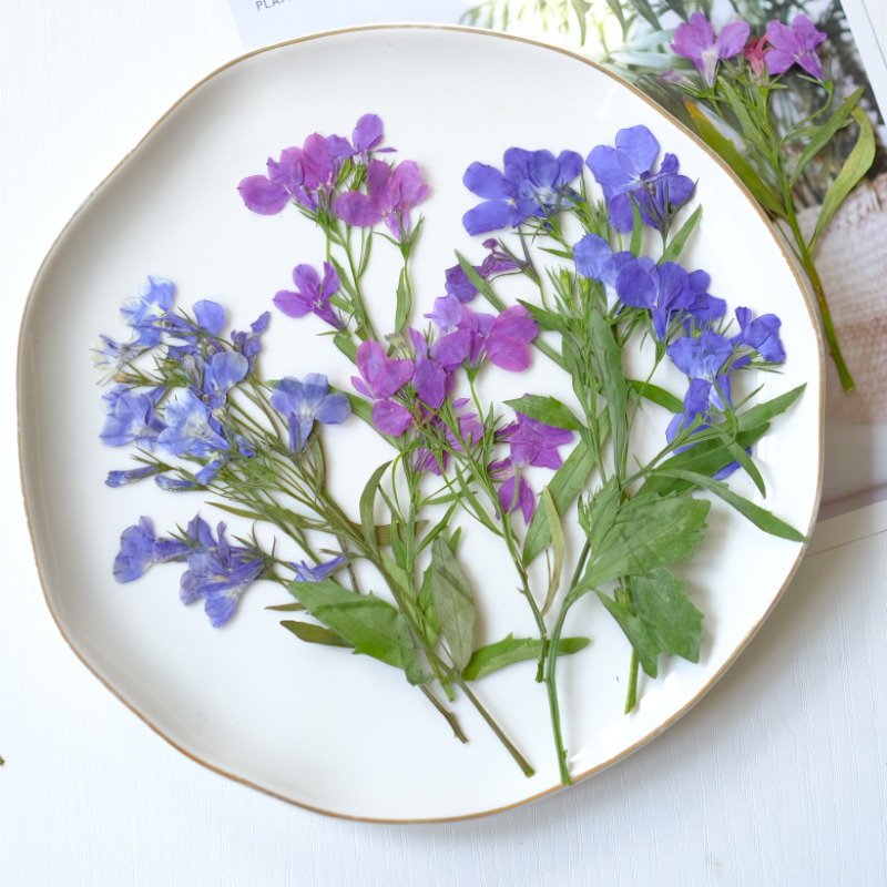 6pcs/8-13cm,nature Lobelia Eri - Resin Art Baby recension och pris
