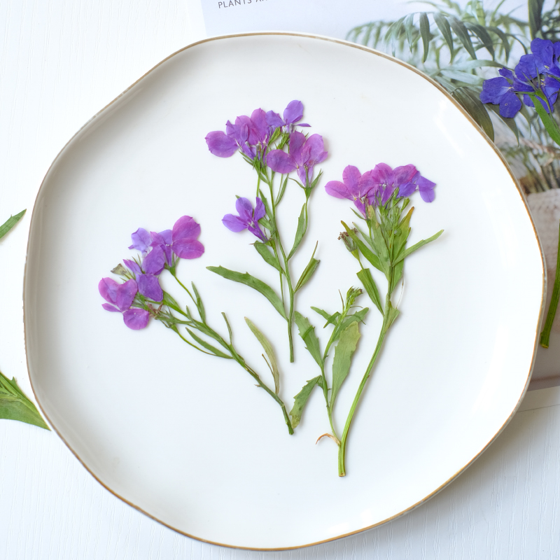 6pcs/8-13cm,nature Lobelia Eri - Resin Art Baby recension och pris