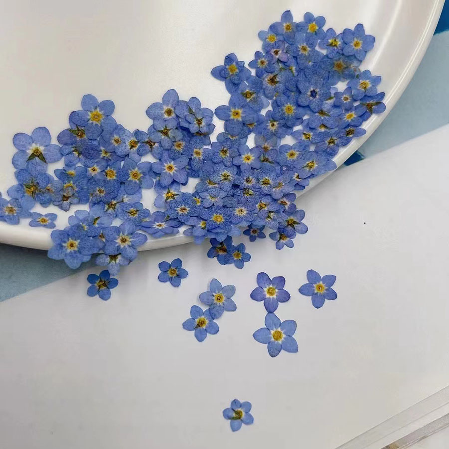 60pcs Mini Pressed Dried Flowe - Resin Art Baby recension och pris