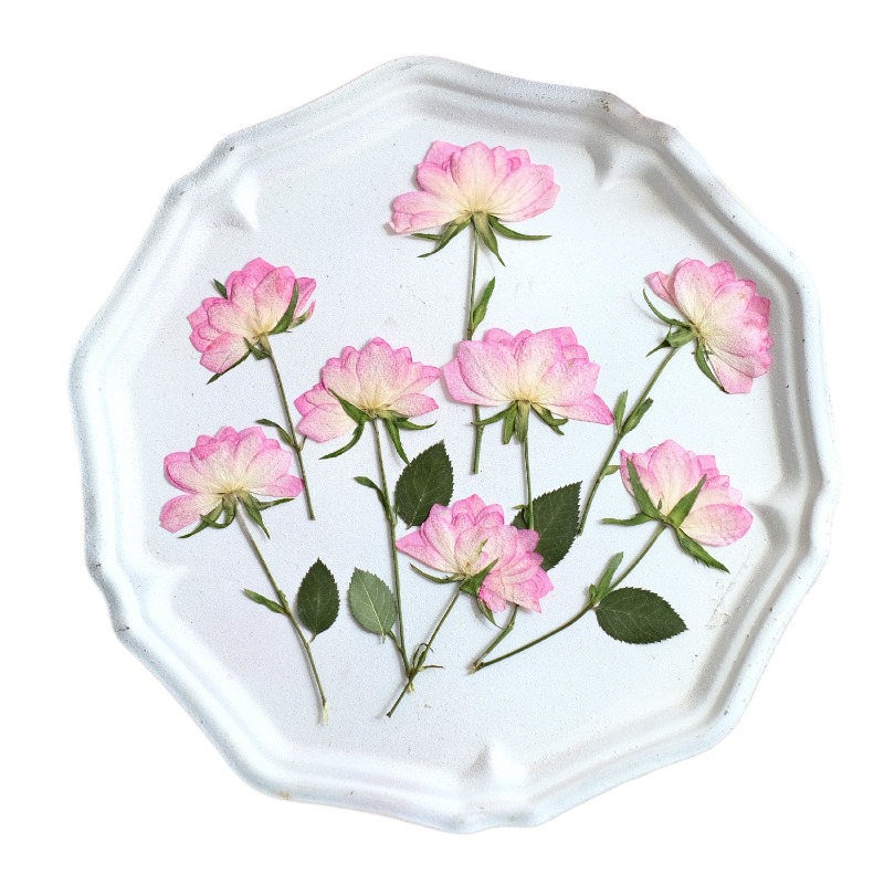 12pcs,Real Dried Pressed Flowe - Resin Art Baby recension och pris